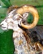 09 - Ian Chadwick - Ram - Acrylic.JPG